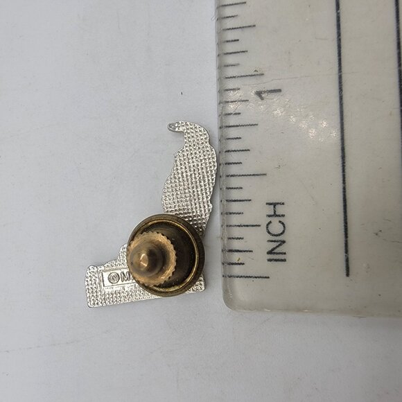 FLORIDA Pin STATE MAP‎ SOUVENIR PIN  ESTATE JEWELRY Vintage - Picture 2 of 2